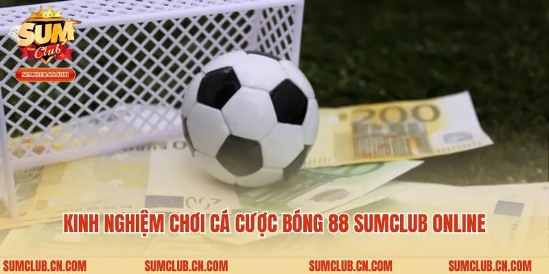Kinh nghiệm chơi cá cược bóng 88 Sumclub online